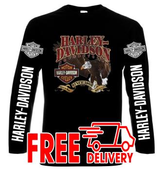 Harley Davidson, 4, men's long sleeve t-shirt, 100% cotton, S to 5XL